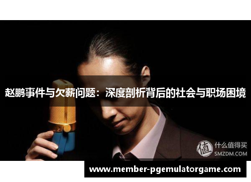 赵鹏事件与欠薪问题:深度剖析背后的社会与职场困境 赵鹏事件与欠薪问题:深度剖析背后的社会与职场困境