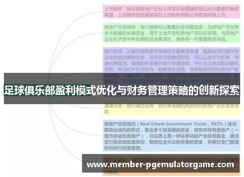 足球俱乐部盈利模式优化与财务管理策略的创新探索