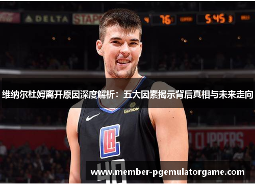 维纳尔杜姆离开原因深度解析：五大因素揭示背后真相与未来走向