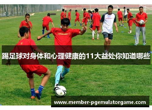 踢足球对身体和心理健康的11大益处你知道哪些 踢足球对身体和心理健康的11大益处你知道哪些